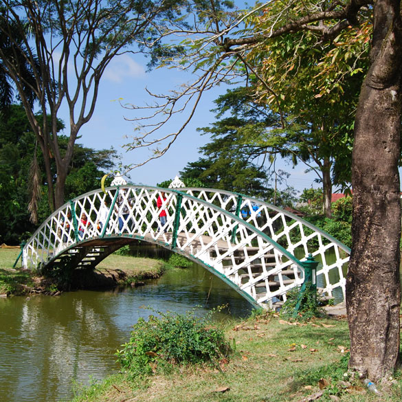 guyana botanical gardens kissing bridge